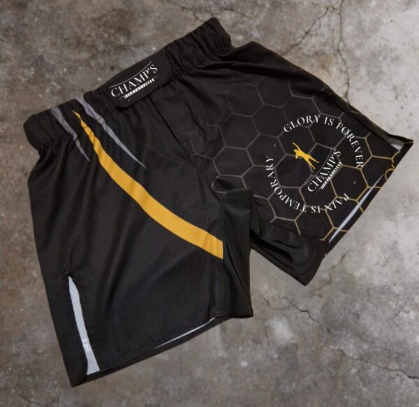 Champs Fight Shorts Black GOLD Edition – Bild 3