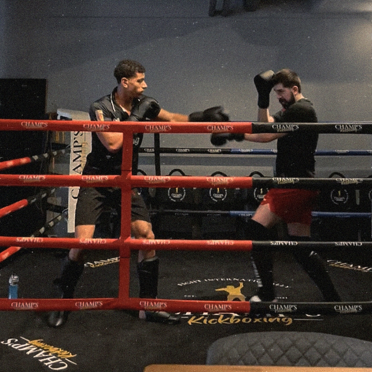 champs kickboxing berlin mma berlin muay thai berlin