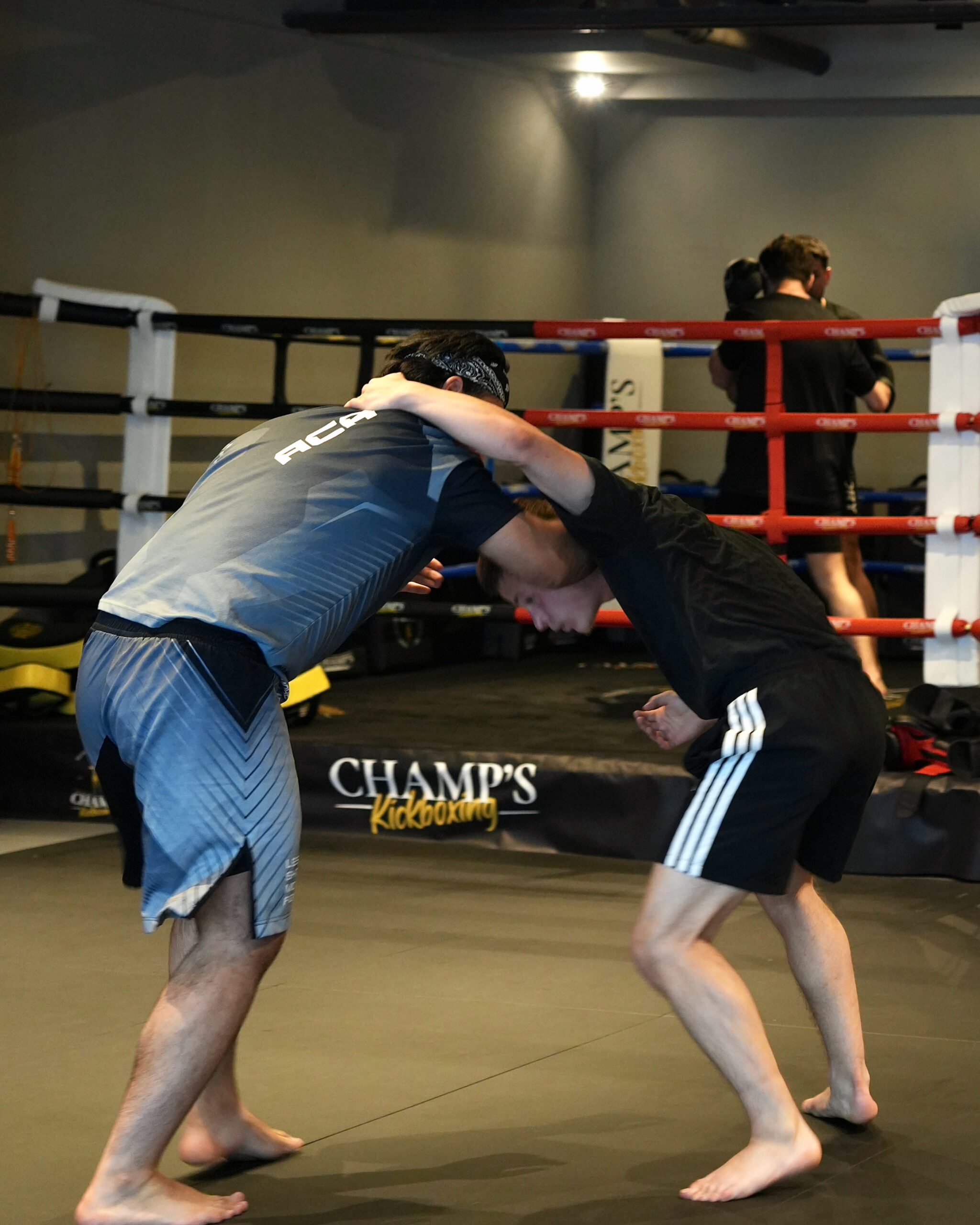 mma berlin champs kickboxing berlin muay thai boxen berlin