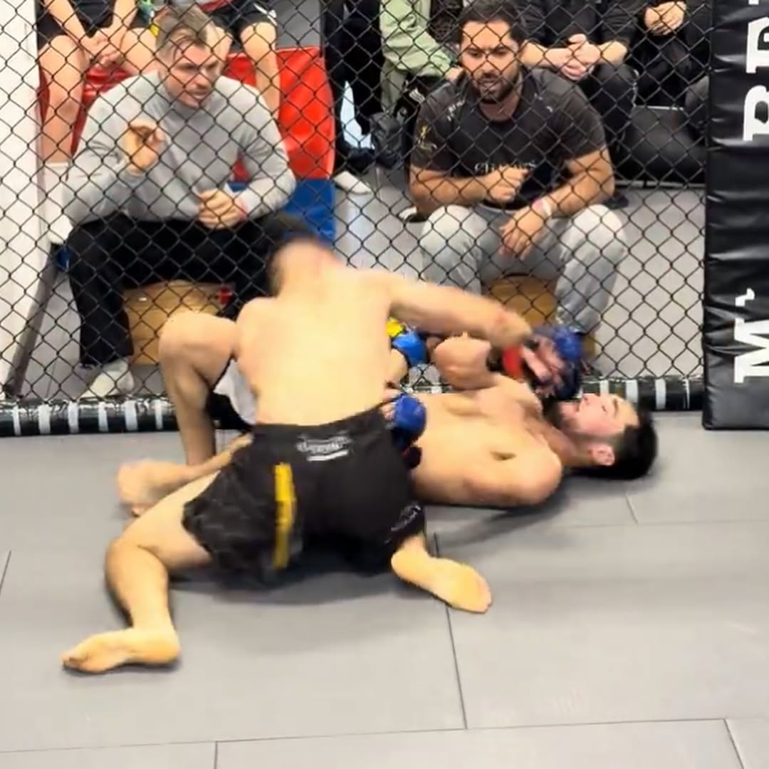 kampfsport studio berlin, kickboxen berlin, boxen berlin, mma berlin, kickboxing berlin, thaiboxen berlin, muay thai berlin, champs kickboxing shedule.jpg